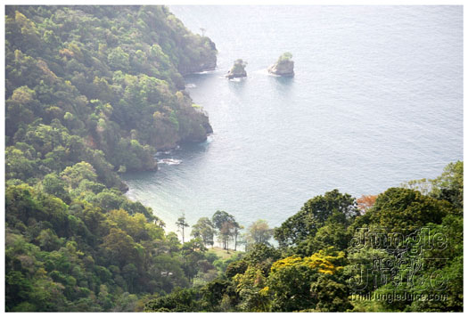 mai_tai_2010_may30-012