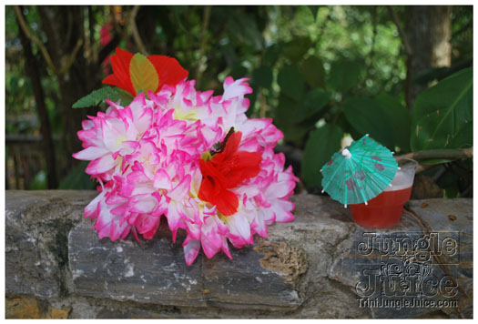 mai_tai_2010_may30-017