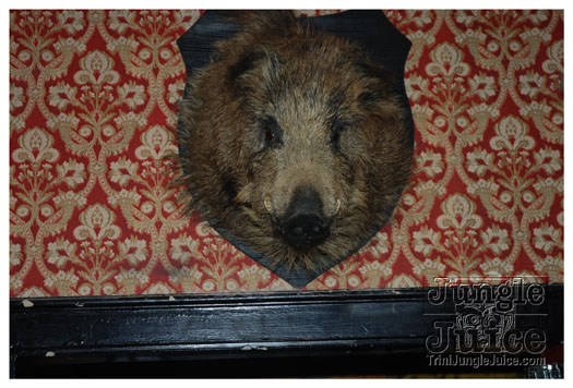 mango_tree_10_anniv_sept17-001