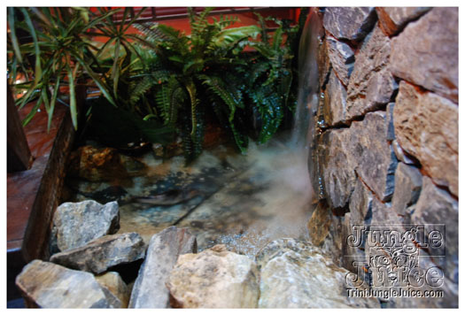 marcia_miranda_live_nov12-036