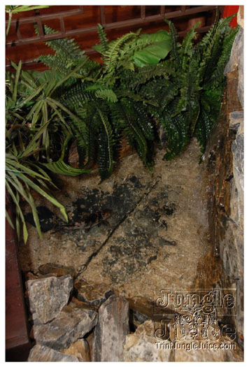 marcia_miranda_live_nov12-038