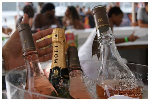 martizik_electrotropical_festival_apr3-092