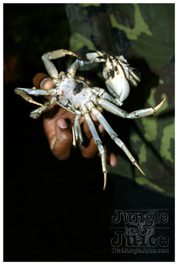 military_attack_jul10-088