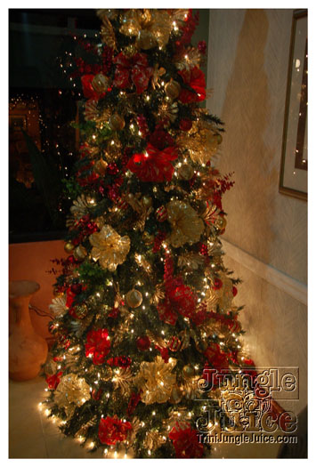 ms_elegant_pageant_2010_nov21-004