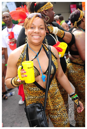 nhc_poisonuk_2010-038