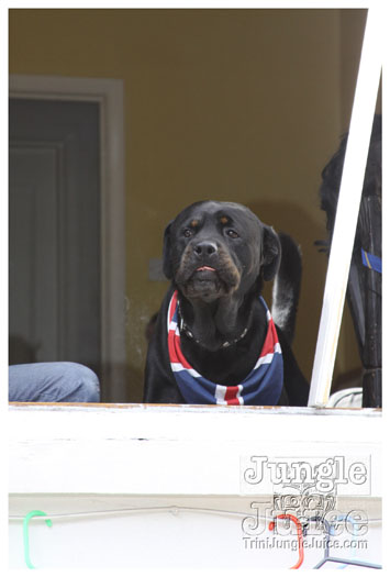 notting_hill_2010_extras-150