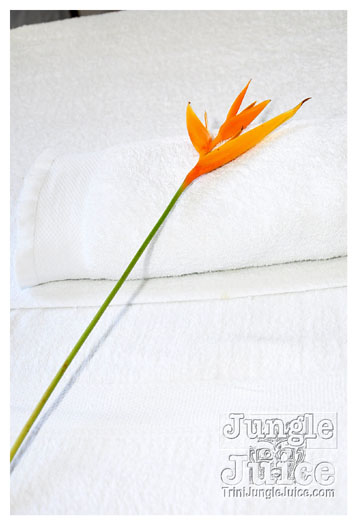 4-strawberry_hill-010