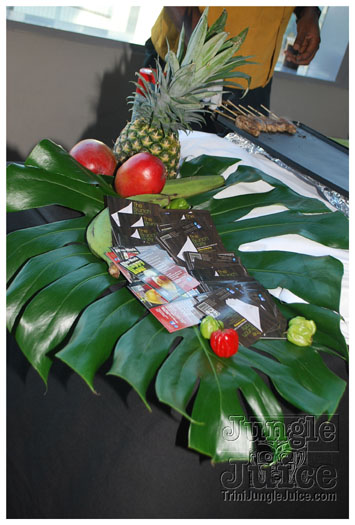 pan_jazz_ny_2010-093