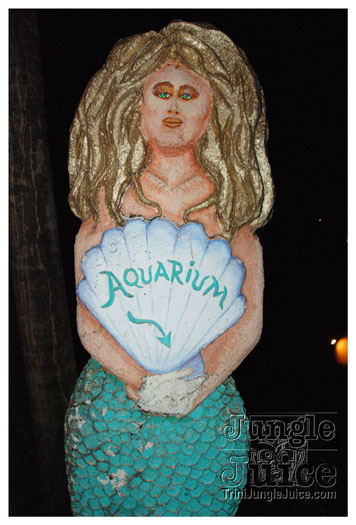 permit_fete_aug7_2010-001