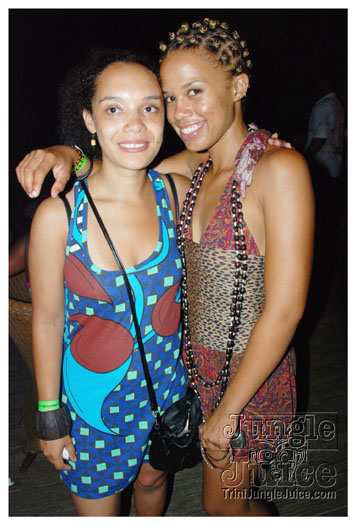 permit_fete_aug7_2010-013