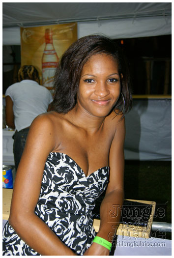 permit_fete_aug7_2010-049