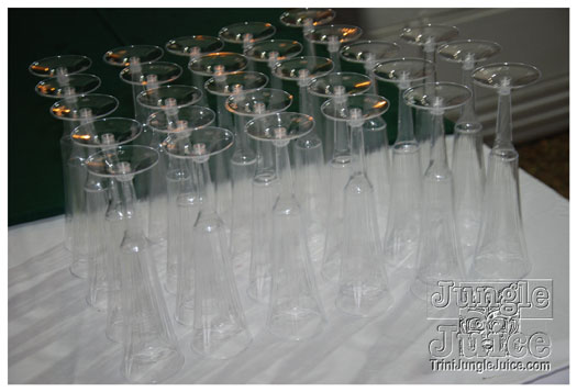 presentation_college_all_inclusive_2010-041