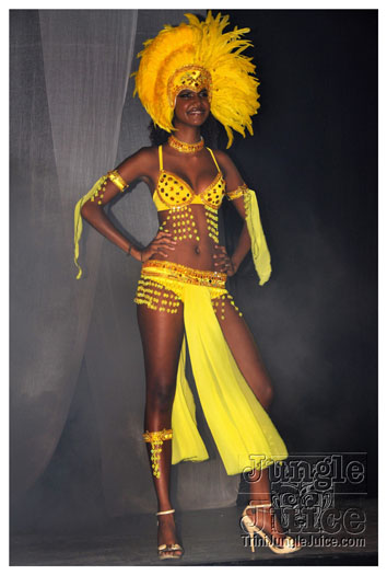 rebel_vibes_band_launch_2010-008