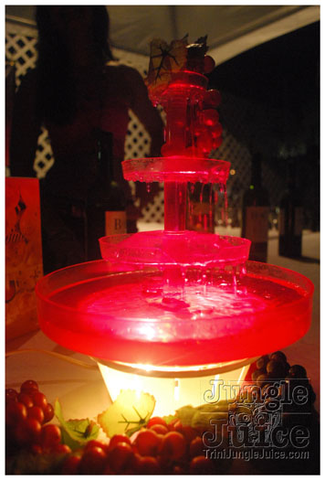 red_wine_trini_jul3-053