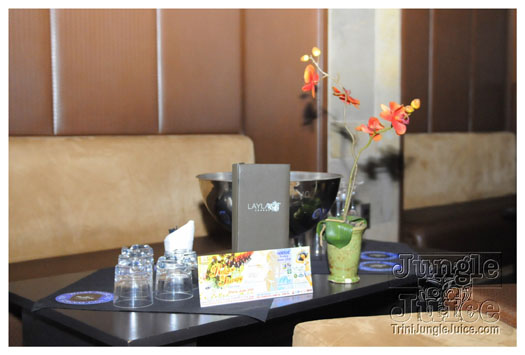 release_therapy_dc_2010-022