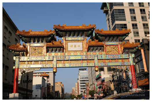 release_therapy_dc_2010-039