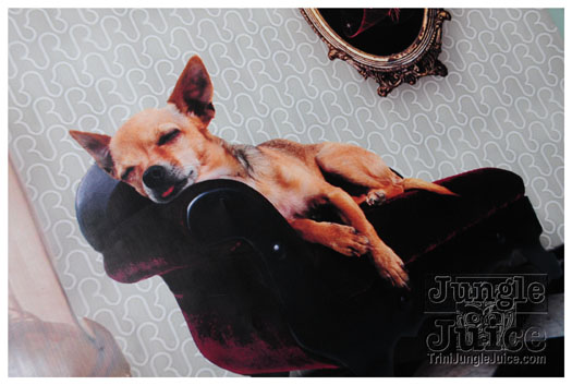 rhythmatic_rocky_xpress2_may15-031