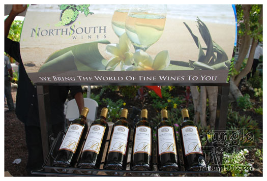 rotary_club_fete_2010-003