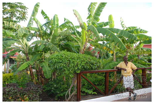 rotary_club_fete_2010-026