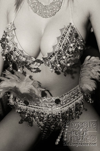 saldenah_band_launch_2010-059