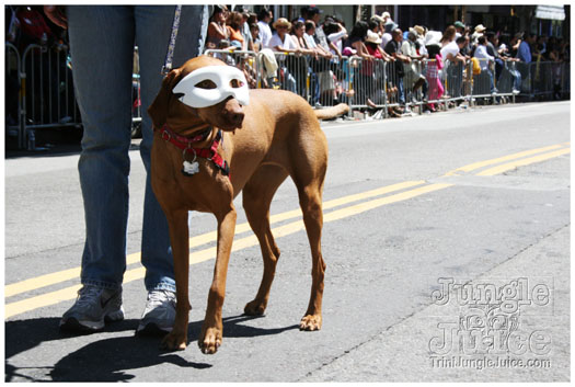 san_francisco_carnival_2010-063