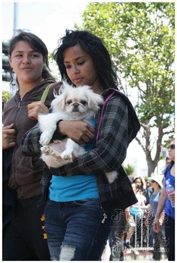 san_francisco_carnival_2010-105