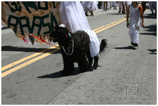 san_francisco_carnival_2010-129