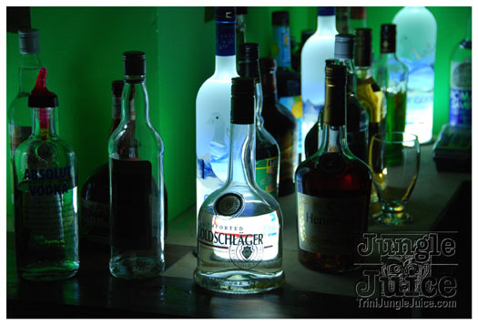 secret_fantasy_mar27-045