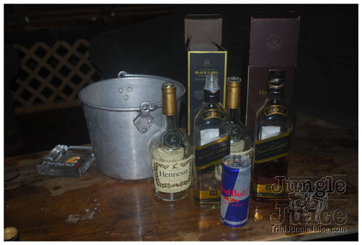 shade_summer_spree_2010-084