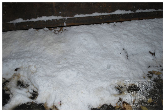 snow_flake_dec26-004