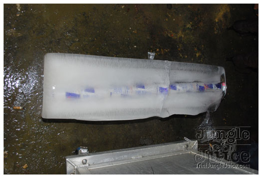 snow_flake_dec26-008