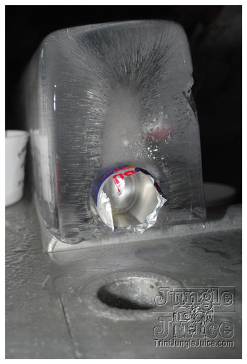 snow_flake_dec26-009