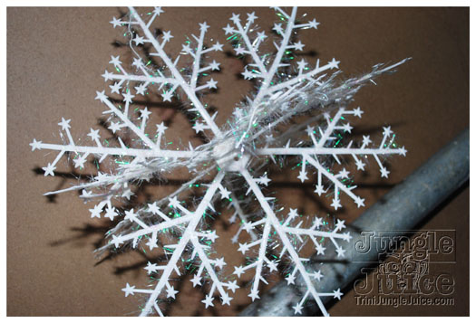 snow_flake_dec26-015