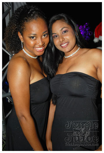 snow_flake_dec26-025