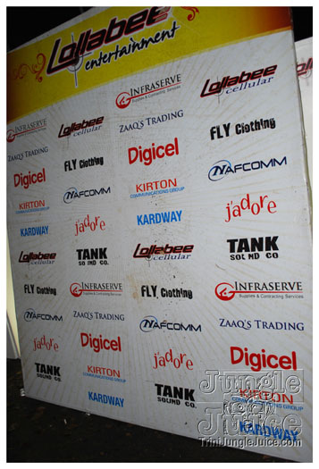 snow_flake_dec26-046