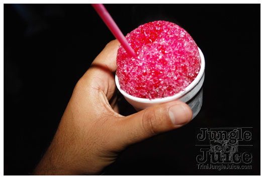 snow_flake_dec26-051