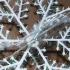 snow_flake_dec26-015