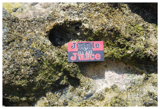 soca_at_de_sandbar_apr7-030