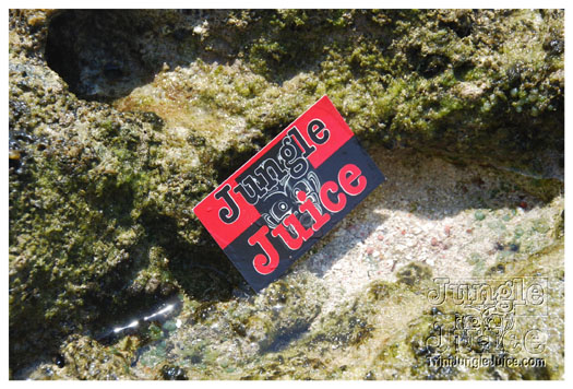 soca_at_de_sandbar_apr7-032