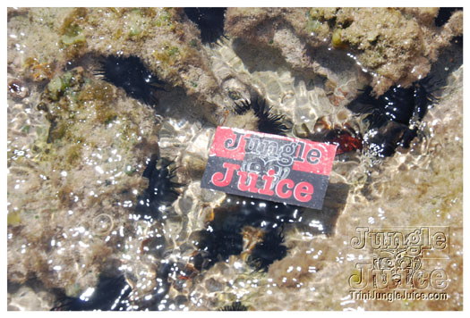 soca_at_de_sandbar_apr7-033