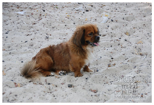 soca_at_de_sandbar_apr7-097