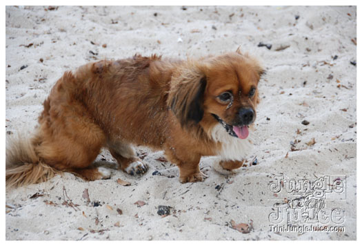 soca_at_de_sandbar_apr7-098