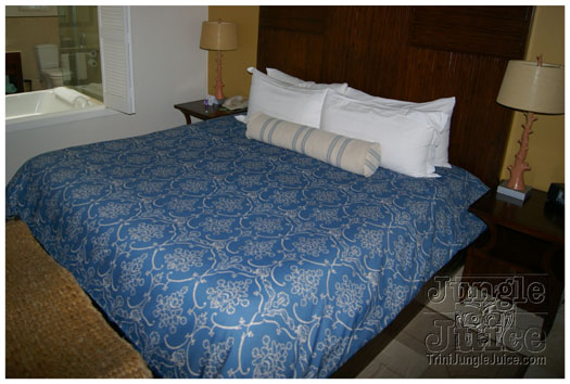 spice_mas_2010_extras-013