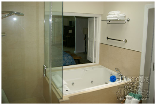 spice_mas_2010_extras-015