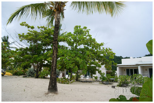 spice_mas_2010_extras-023