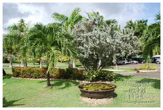 spice_mas_2010_extras-029