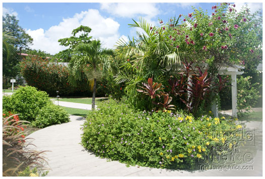 spice_mas_2010_extras-045