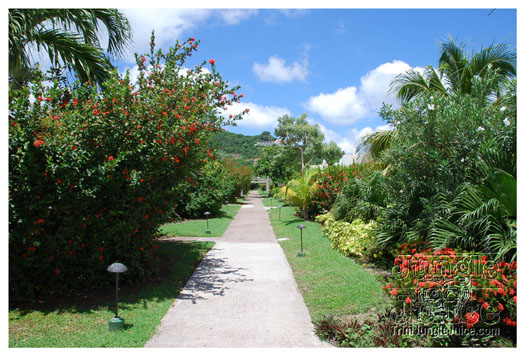 spice_mas_2010_extras-048