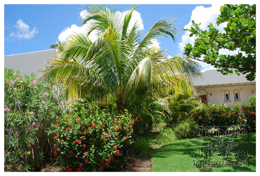 spice_mas_2010_extras-056