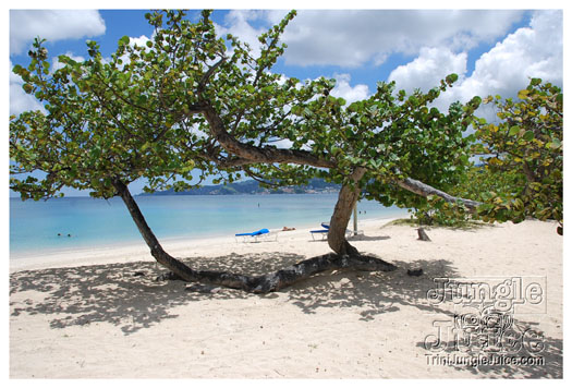 spice_mas_2010_extras-071